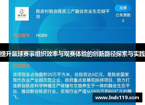 提升篮球赛事组织效率与观赛体验的创新路径探索与实践